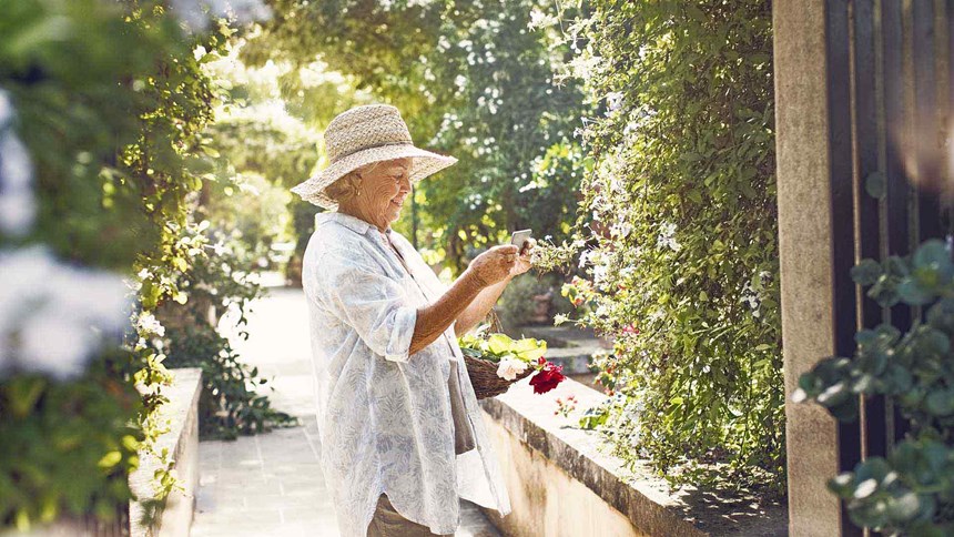 Elderly woman picking flowers in the garden